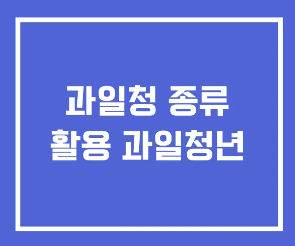 과일청 종류 활용 과일청년 과일청 종류 활용 과일청년