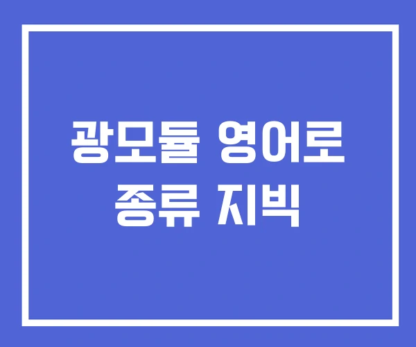 광모듈 영어로 종류 지빅 광모듈 영어로 종류 지빅