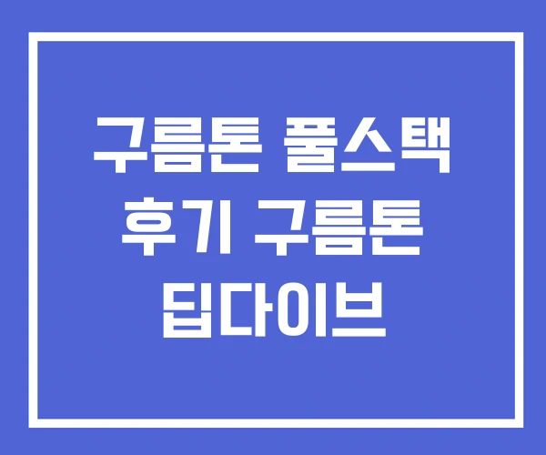 구름톤 풀스택 후기 구름톤 딥다이브 구름톤 풀스택 후기 구름톤 딥다이브