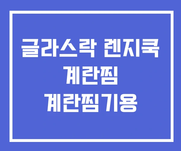 글라스락 렌지쿡 계란찜 계란찜기용