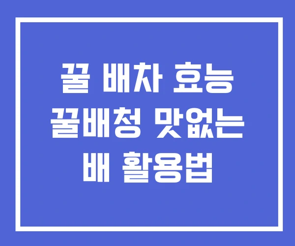 꿀 배차 효능 꿀배청 맛없는 배 활용법 꿀 배차 효능 꿀배청 맛없는 배 활용법