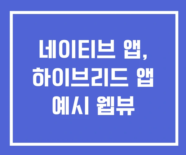 네이티브 앱, 하이브리드 앱 예시 웹뷰