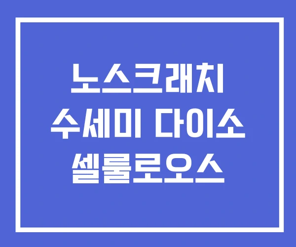 노스크래치 수세미 다이소 셀룰로오스 노스크래치 수세미 다이소 셀룰로오스