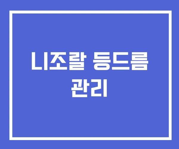 니조랄 등드름 관리