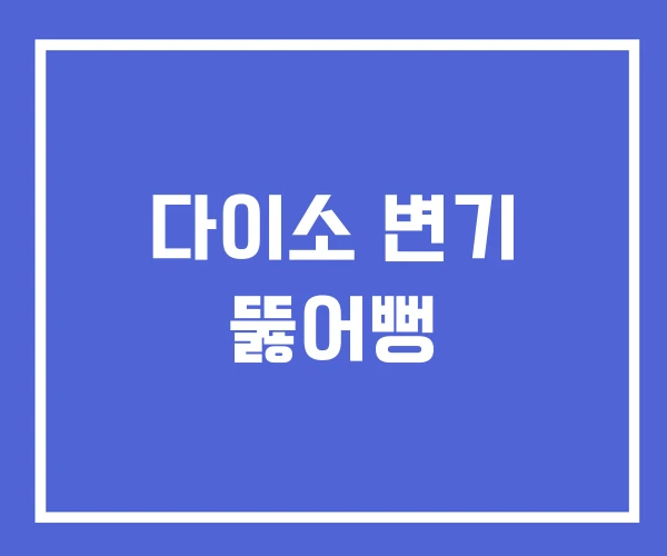 다이소 변기 뚫어뻥