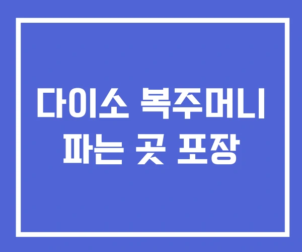 다이소 복주머니 파는 곳 포장
