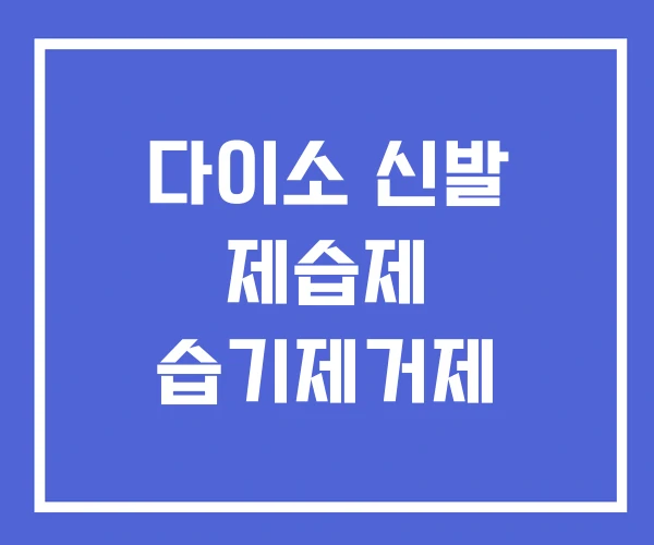 다이소 신발 제습제 습기제거제 다이소 신발 제습제 습기제거제
