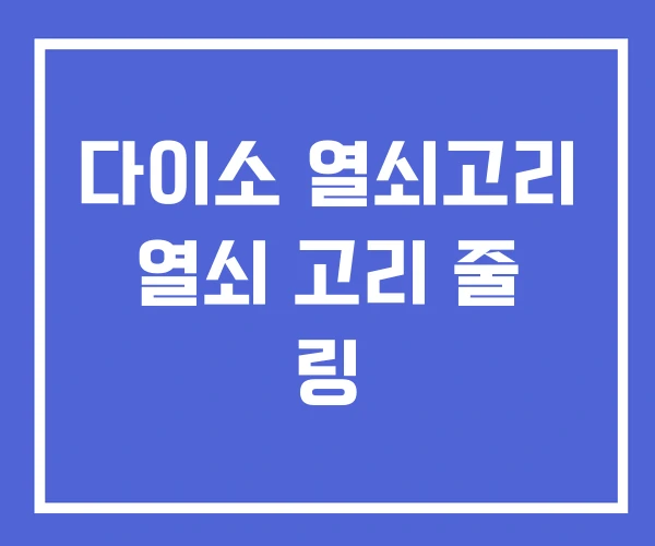 다이소 열쇠고리 열쇠 고리 줄 링 다이소 열쇠고리 열쇠 고리 줄 링