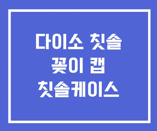 다이소 칫솔 꽂이 캡 칫솔케이스
