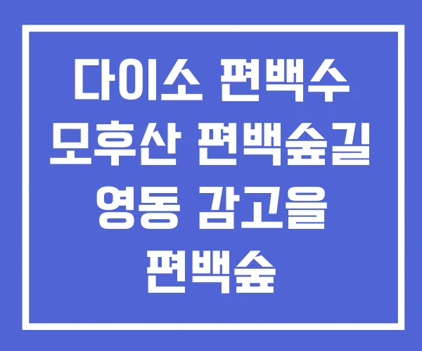 다이소 편백수 모후산 편백숲길 영동 감고을 편백숲 다이소 편백수 모후산 편백숲길 영동 감고을 편백숲