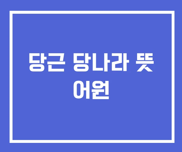 당근 당나라 뜻 어원
