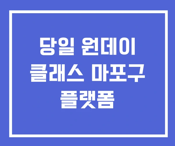 당일 원데이 클래스 마포구 플랫폼 당일 원데이 클래스 마포구 플랫폼