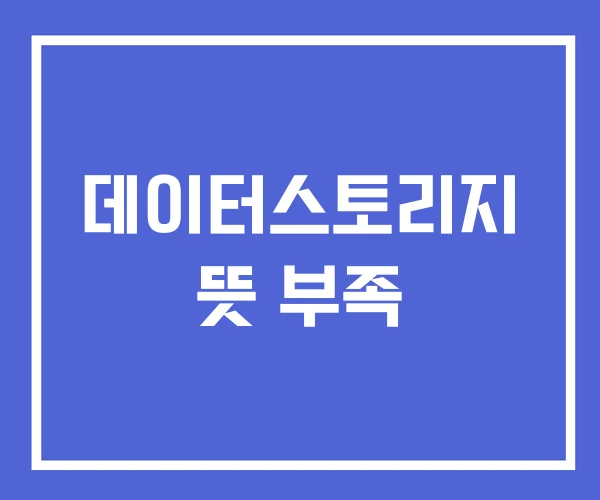 데이터스토리지 뜻 부족 데이터스토리지 뜻 부족