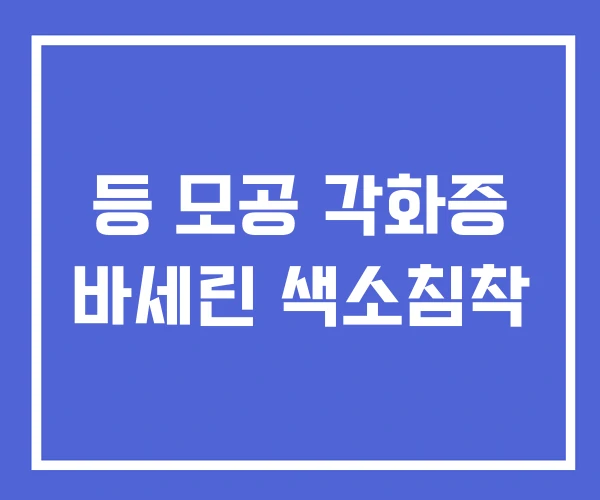 등 모공 각화증 바세린 색소침착 등 모공 각화증 바세린 색소침착