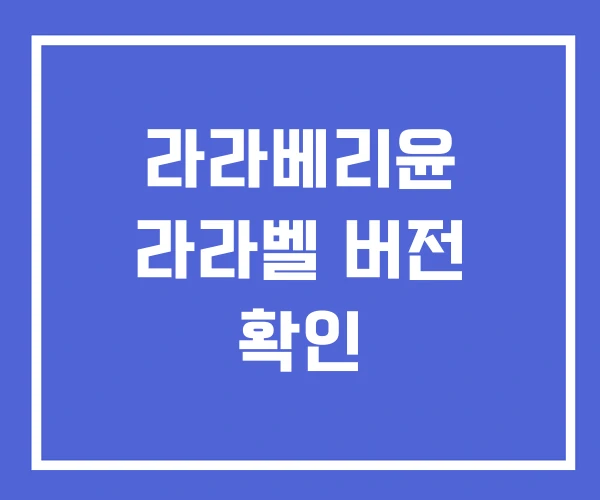 라라베리윤 라라벨 버전 확인 라라베리윤 라라벨 버전 확인