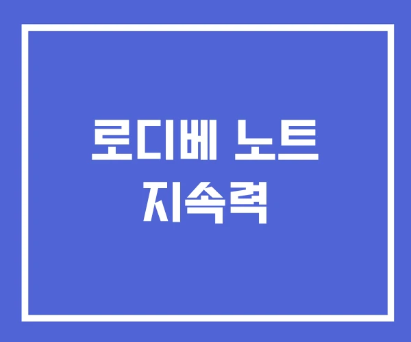 로디베 노트 지속력 로디베 노트 지속력
