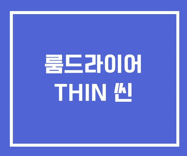 룸드라이어 THIN 씬