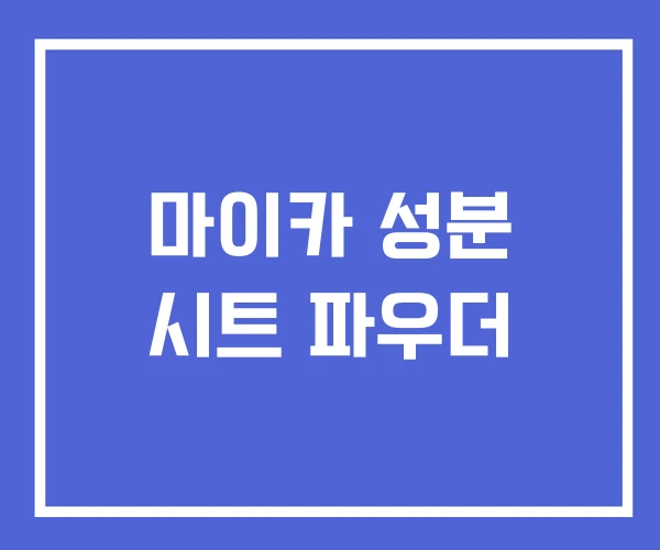 마이카 성분 시트 파우더
