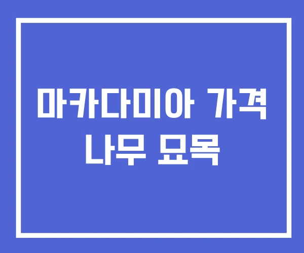 마카다미아 가격 나무 묘목 마카다미아 가격 나무 묘목