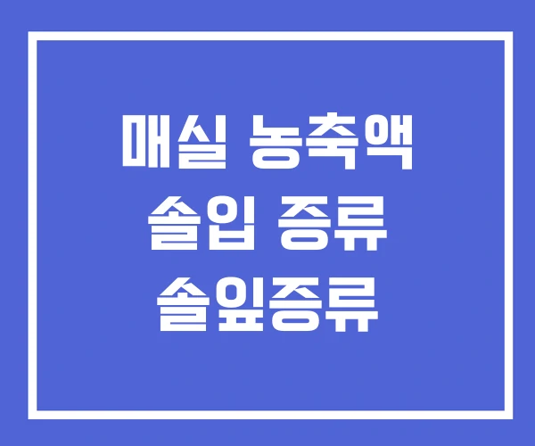매실 농축액 솔입 증류 솔잎증류 매실 농축액 솔입 증류 솔잎증류