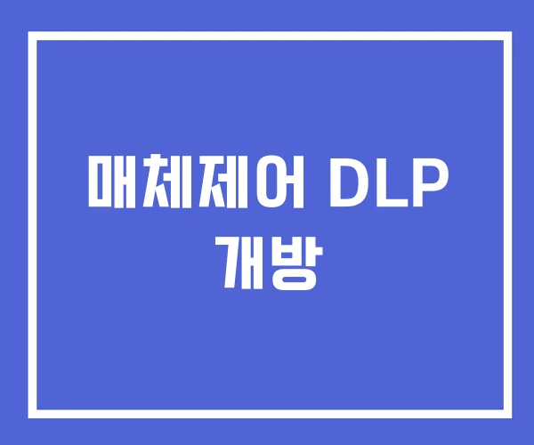 매체제어 DLP 개방 매체제어 DLP 개방