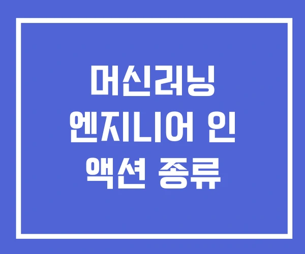 머신러닝 엔지니어 인 액션 종류