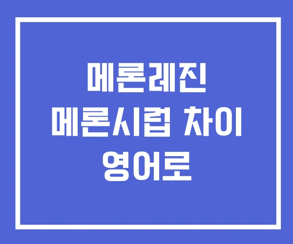 메론레진 메론시럽 차이 영어로 메론레진 메론시럽 차이 영어로
