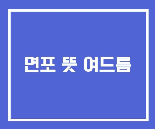 면포 뜻 여드름 면포 뜻 여드름