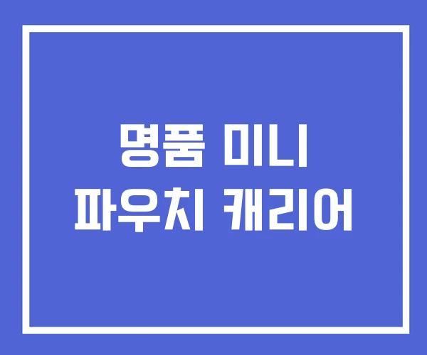 명품 미니 파우치 캐리어