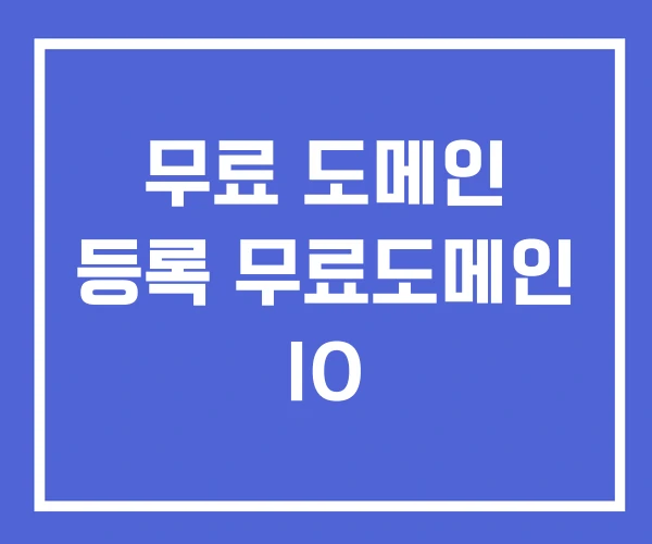 무료 도메인 등록 무료도메인 IO