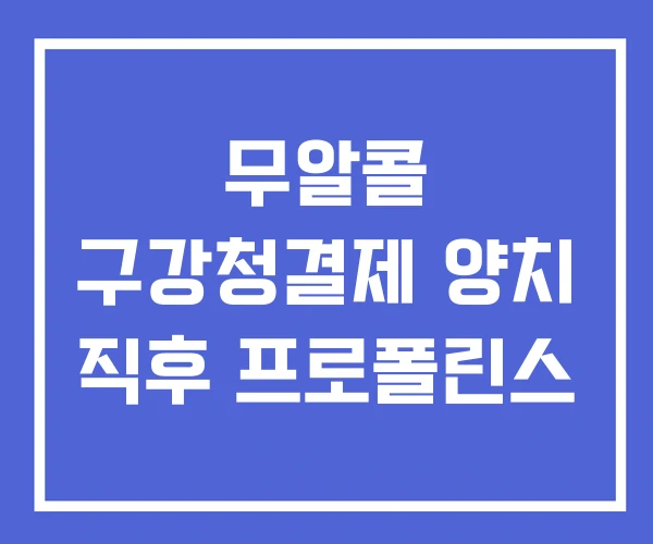 무알콜 구강청결제 양치 직후 프로폴린스 무알콜 구강청결제 양치 직후 프로폴린스