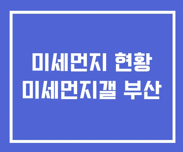 미세먼지 현황 미세먼지갤 부산 미세먼지 현황 미세먼지갤 부산