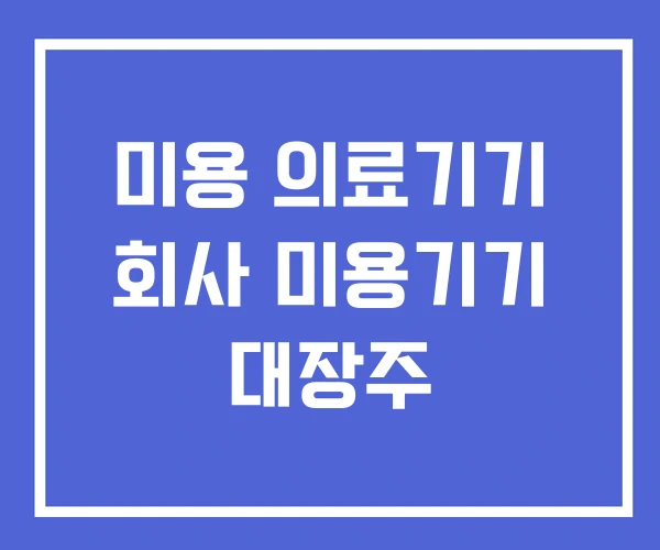 미용 의료기기 회사 미용기기 대장주