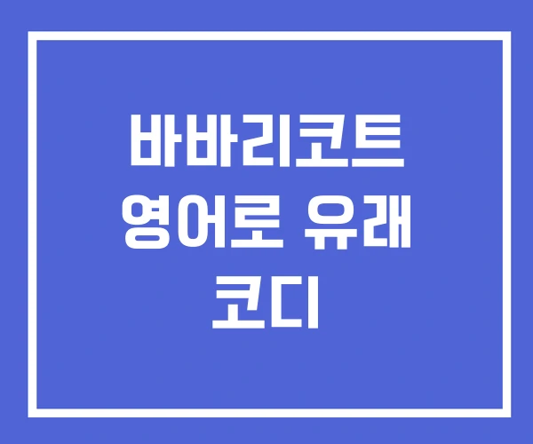 바바리코트 영어로 유래 코디 바바리코트 영어로 유래 코디