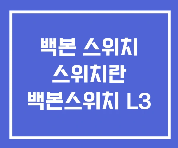 백본 스위치 스위치란 백본스위치 L3