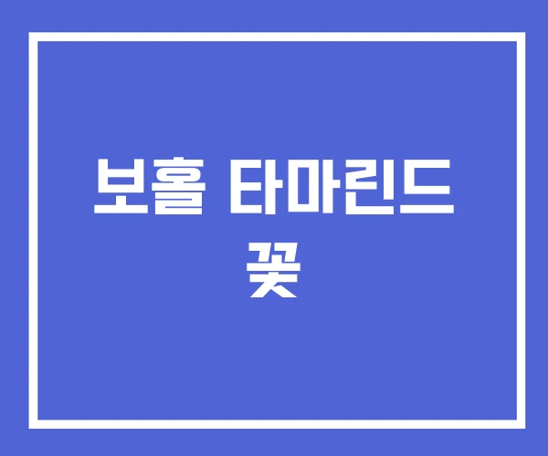 보홀 타마린드 꽃 보홀 타마린드 꽃