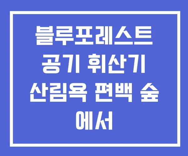블루포레스트 공기 휘산기 산림욕 편백 숲 에서 블루포레스트 공기 휘산기 산림욕 편백 숲 에서