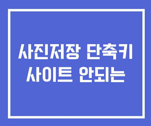 사진저장 단축키 사이트 안되는 사진저장 단축키 사이트 안되는