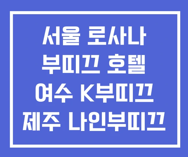 서울 로사나 부띠끄 호텔 여수 K부띠끄 제주 나인부띠끄 서울 로사나 부띠끄 호텔 여수 K부띠끄 제주 나인부띠끄