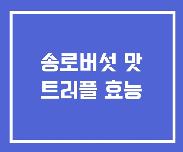송로버섯 맛 트러플 효능 송로버섯 맛 트러플 효능