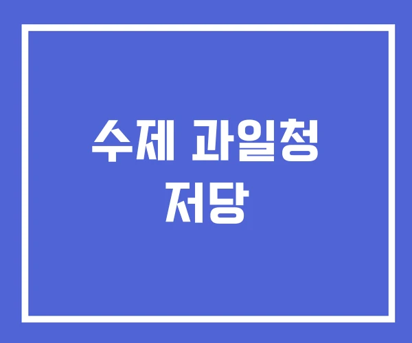 수제 과일청 저당 수제 과일청 저당