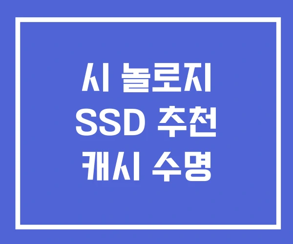 시 놀로지 SSD 추천 캐시 수명 시 놀로지 SSD 추천 캐시 수명