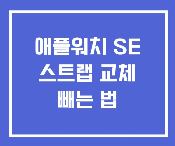 애플워치 SE 스트랩 교체 빼는 법 애플워치 SE 스트랩 교체 빼는 법
