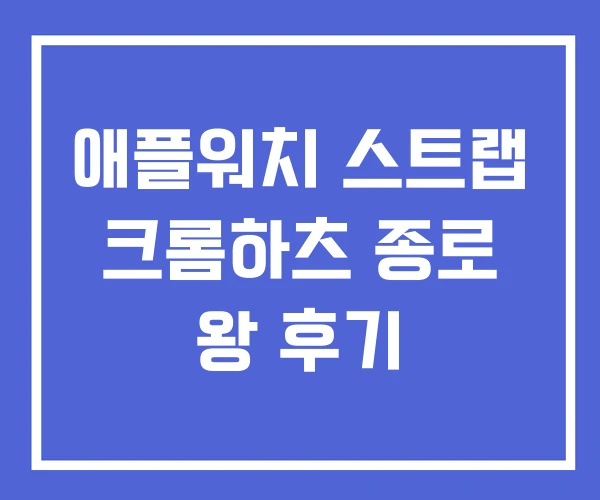 애플워치 스트랩 크롬하츠 종로 왕 후기