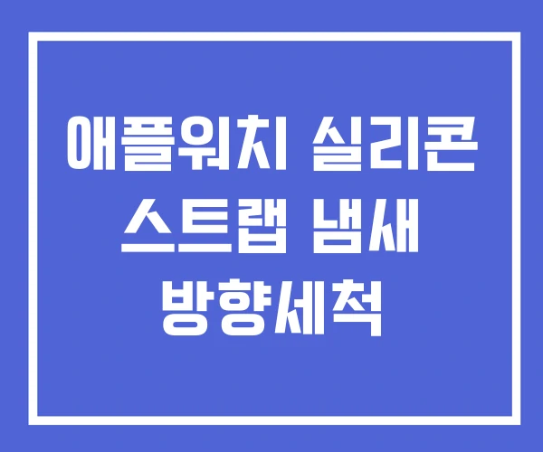 애플워치 실리콘 스트랩 냄새 방향세척 애플워치 실리콘 스트랩 냄새 방향세척
