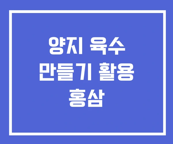 양지 육수 만들기 활용 홍삼