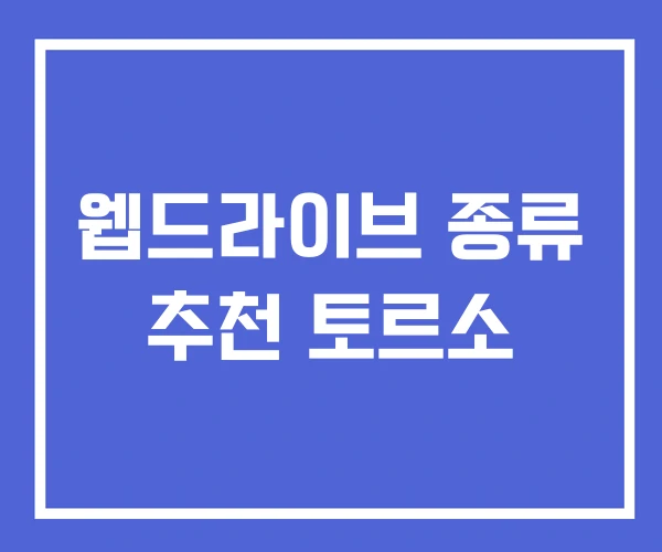 웹드라이브 종류 추천 토르소