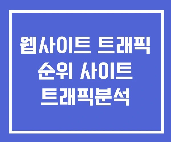 웹사이트 트래픽 순위 사이트 트래픽분석