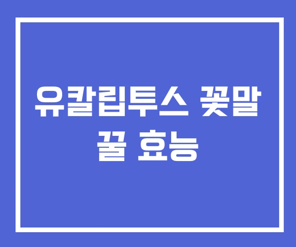 유칼립투스 꽃말 꿀 효능 유칼립투스 꽃말 꿀 효능