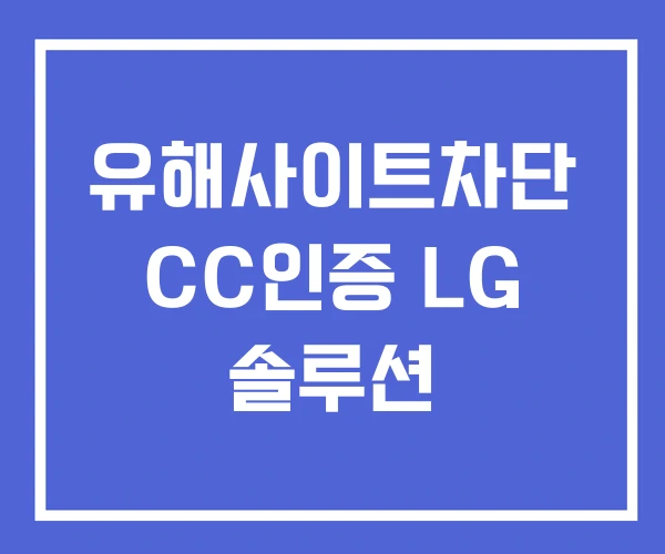 유해사이트차단 CC인증 LG 솔루션 유해사이트차단 CC인증 LG 솔루션